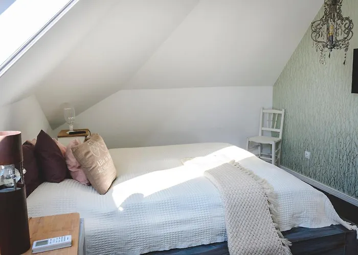 לינה וארוחת בוקר Vankos